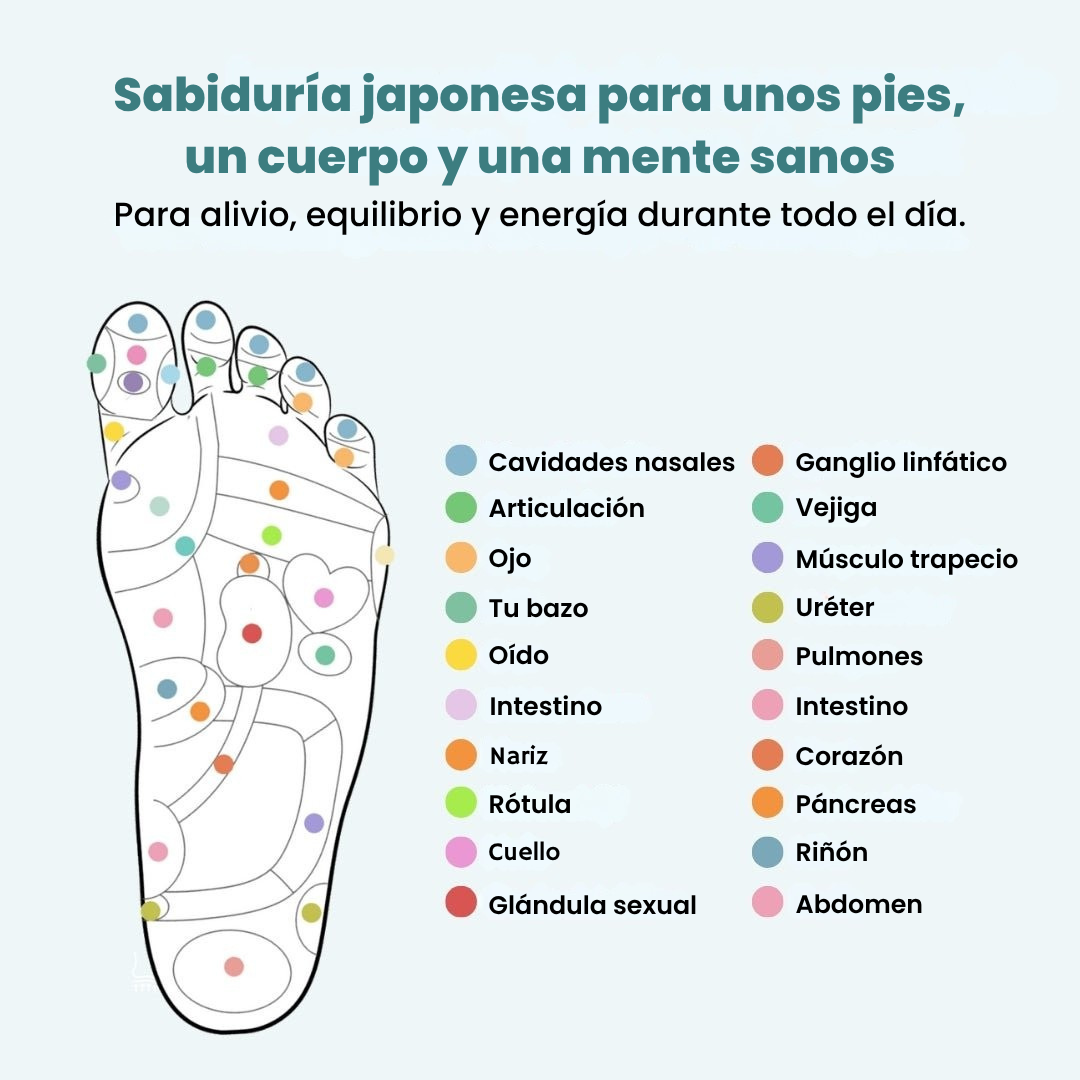 RinovaX™ – Plantillas Magnéticas Antidolor