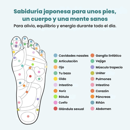 RinovaX™ – Plantillas Magnéticas Antidolor